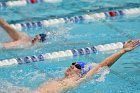 Swimming & Diving vs RWU  Swimming & Diving vs Roger Williams University. - Photo by Keith Nordstrom : Wheaton, Swimming